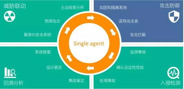 青藤獲2億元B輪融資，研發(fā)大腦扎根光谷加速網(wǎng)絡安全技術創(chuàng)新