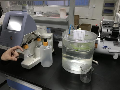 貝愛益生全國合伙人齊聚科爾工廠，零距離見證羊初乳CPP復(fù)合粉安全生產(chǎn)與網(wǎng)絡(luò)安全技術(shù)研發(fā)